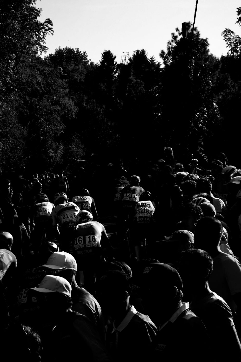 Silhouettes de spectateurs attendant le passage de la course